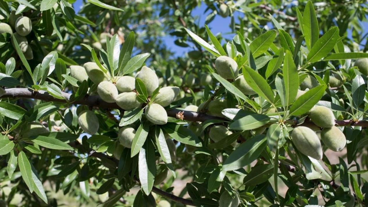דירות אבולה Casa Abola מראה חיצוני תמונה