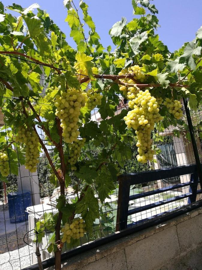 דירות אבולה Casa Abola מראה חיצוני תמונה