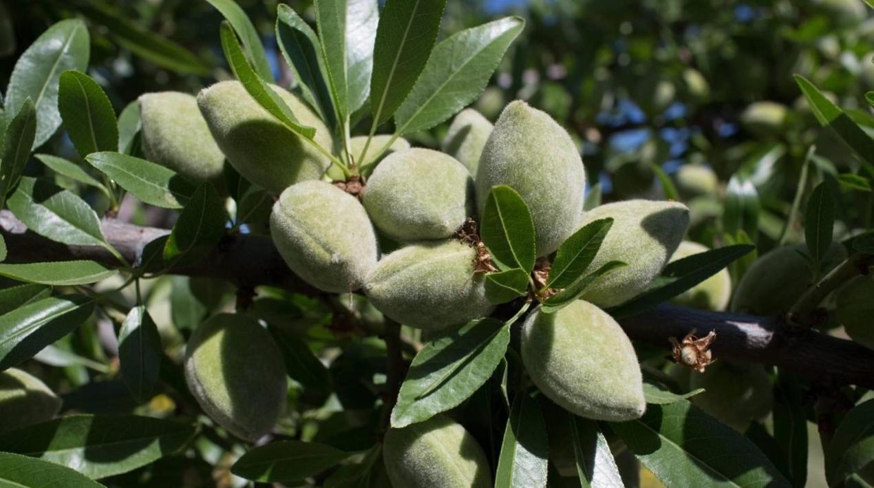 דירות אבולה Casa Abola מראה חיצוני תמונה